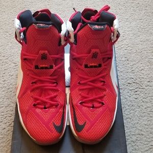 Lebron 12 "Heart of a Lion"